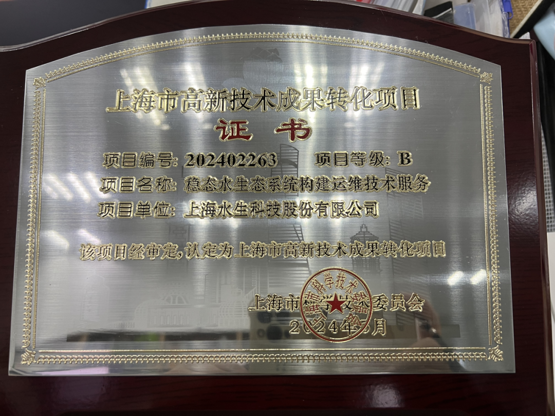 我司技术荣获2024年上海市高新技术成果转化项目(图1)