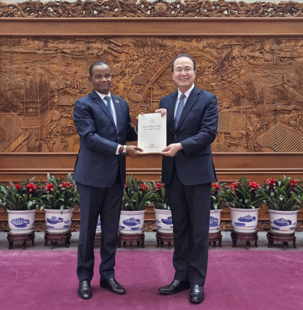 外交部部长助理兼礼宾司司长洪磊接受莫桑比克新任驻华大使递交国书副本-中非友好经贸发展工作委员会