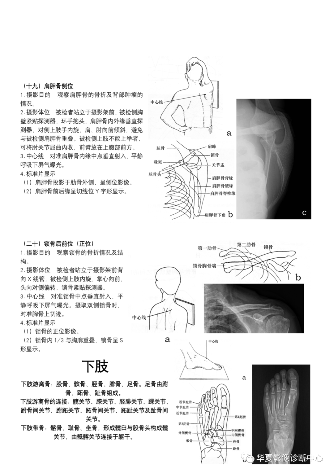 dr摄影是什么DR摄影_https://www.jmylbn.com_新闻资讯_第8张