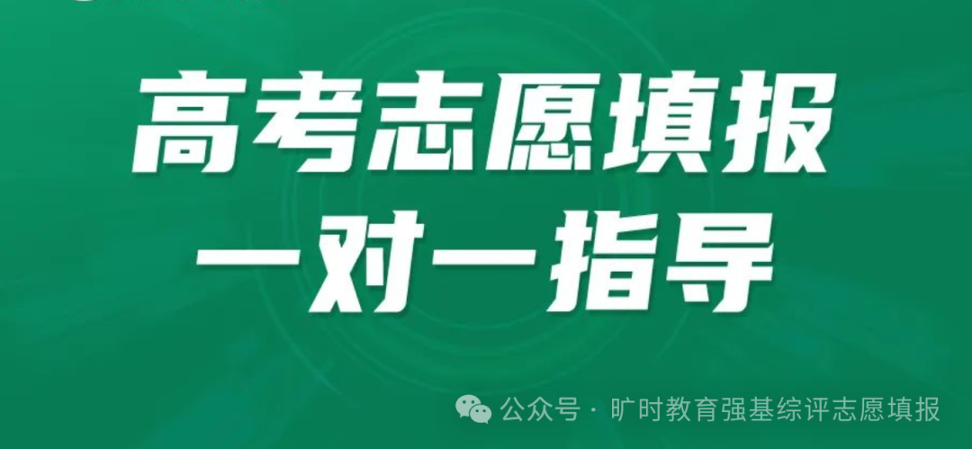 西安翻译学院录取分数线_西安翻译大学分数线_2024年西安翻译学院录取分数线(2024各省份录取分数线及位次排名)