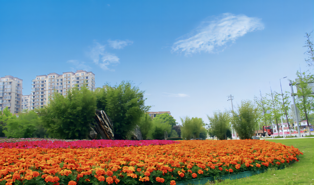 向违建亮剑！罗田打响城市空间保卫战