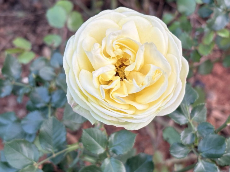 春韵定格·光影绘梦——云南经济管理学院