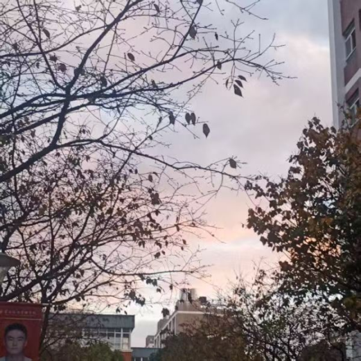 春韵定格·光影绘梦——云南经济管理学院