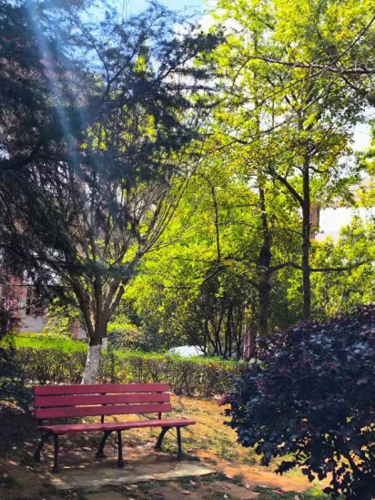 春韵定格·光影绘梦——云南经济管理学院