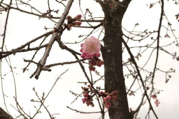 春韵定格·光影绘梦——云南经济管理学院