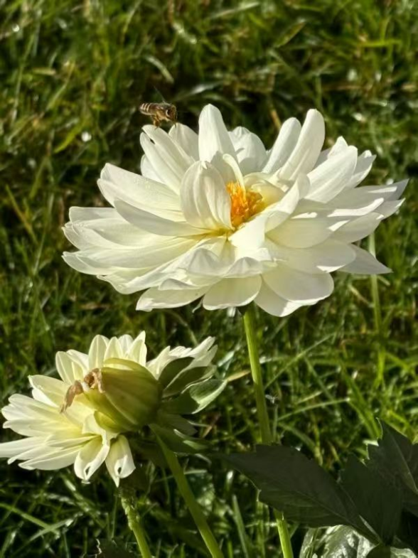 春韵定格·光影绘梦——云南经济管理学院