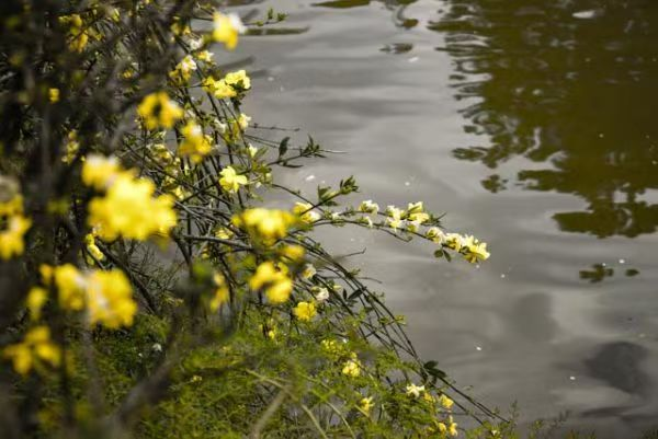 春韵定格·光影绘梦——云南经济管理学院