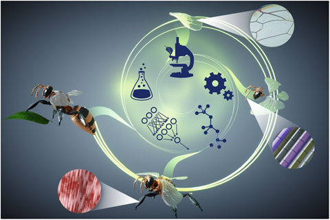 Nature：AI的瓶颈突破在于「实体人工智能（PAI）」(图2)