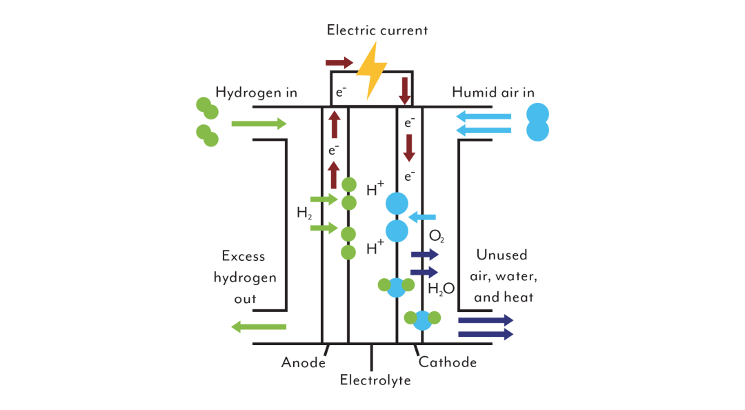 2022 FLOWNEX功能更新 | 燃料電池和電解的圖3