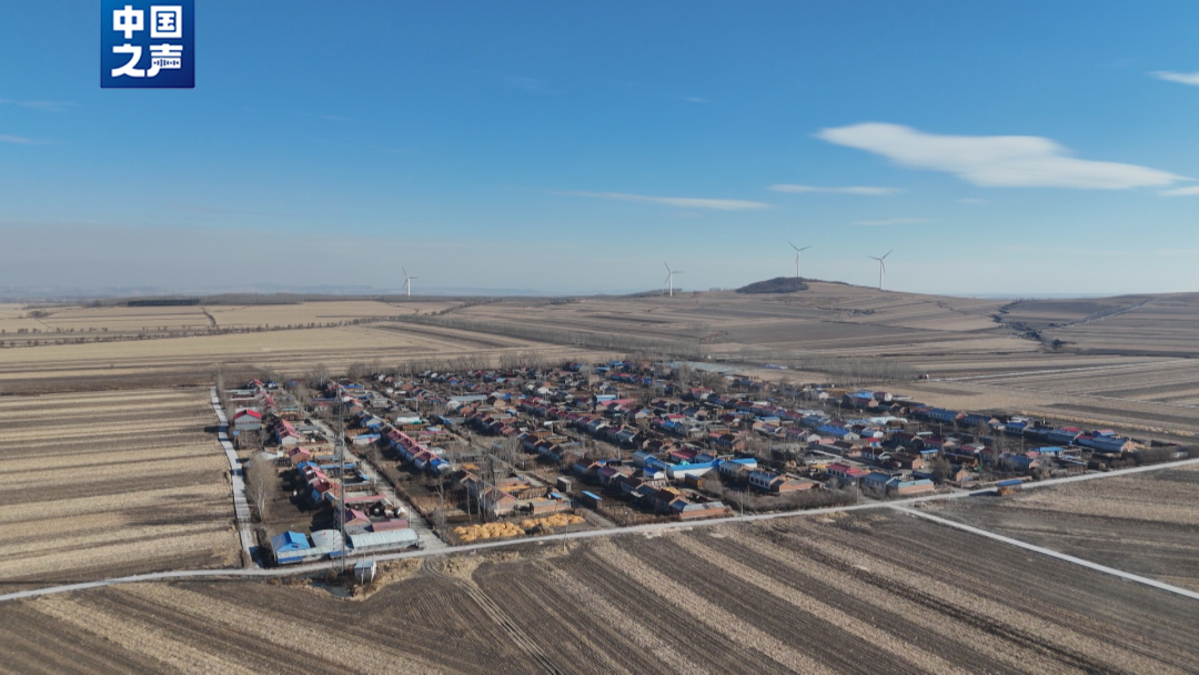 【后续】老虎为何进村伤人？伤人老虎后续该如何安置？