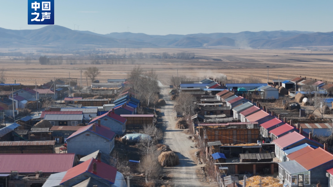 【后续】老虎为何进村伤人？伤人老虎后续该如何安置？