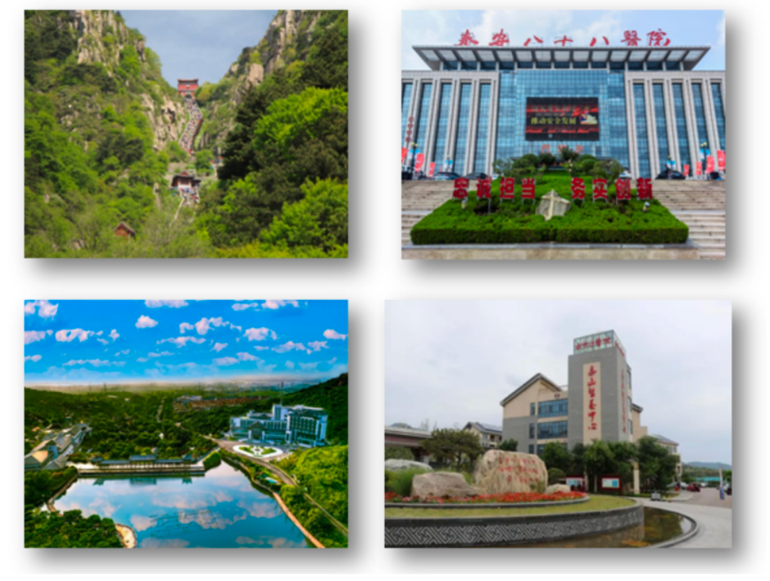 医疗器械招商怎么做链式思维 园区布局 打造泰山脚下医药及医疗器械产业新高地——泰山区医药及医疗器械产业链招商推介_https://www.jmylbn.com_新闻资讯_第4张