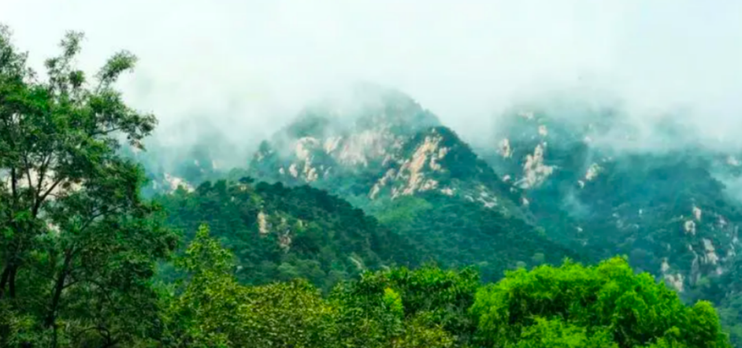 医疗器械招商怎么做链式思维 园区布局 打造泰山脚下医药及医疗器械产业新高地——泰山区医药及医疗器械产业链招商推介_https://www.jmylbn.com_新闻资讯_第3张