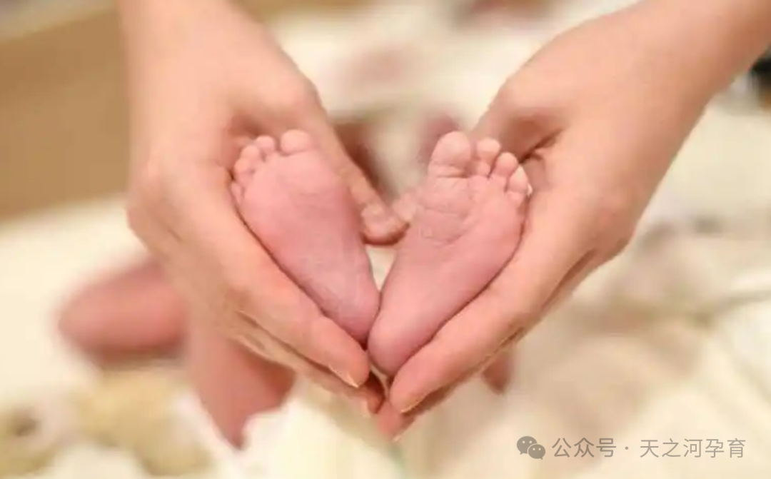 哪里有单身女性做试管的_单身女人做试管_单身试管
