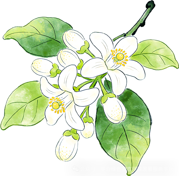 别再忽略！绿色报告，投标项目的核心