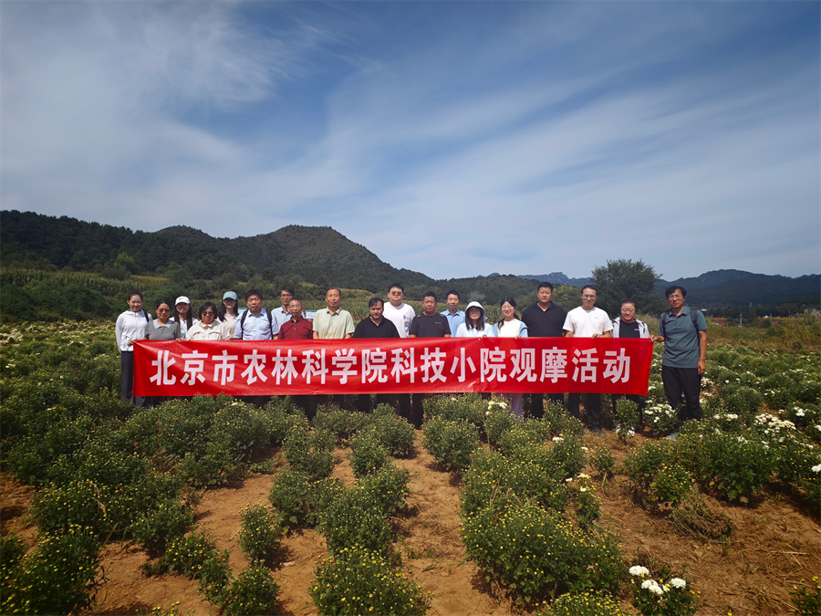图片 6.png