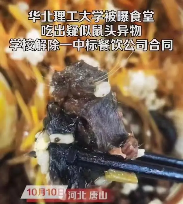 江西高校指鼠为鸭事件