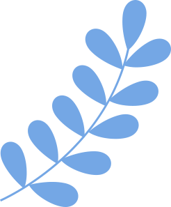 拍片的仪器有哪些就医不迷路，带您认识影像科的“照相机”_https://www.jmylbn.com_新闻资讯_第10张