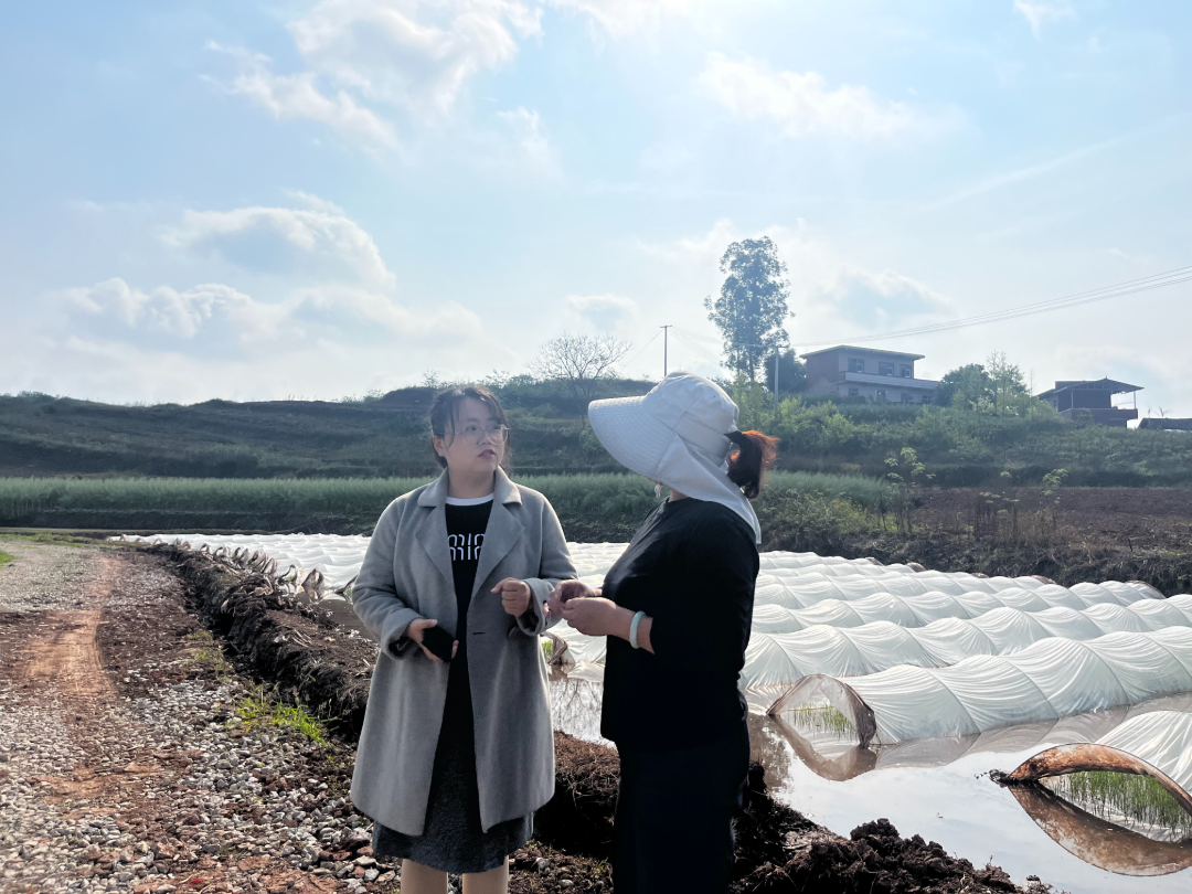 镇农技人员现场指导村民 .png