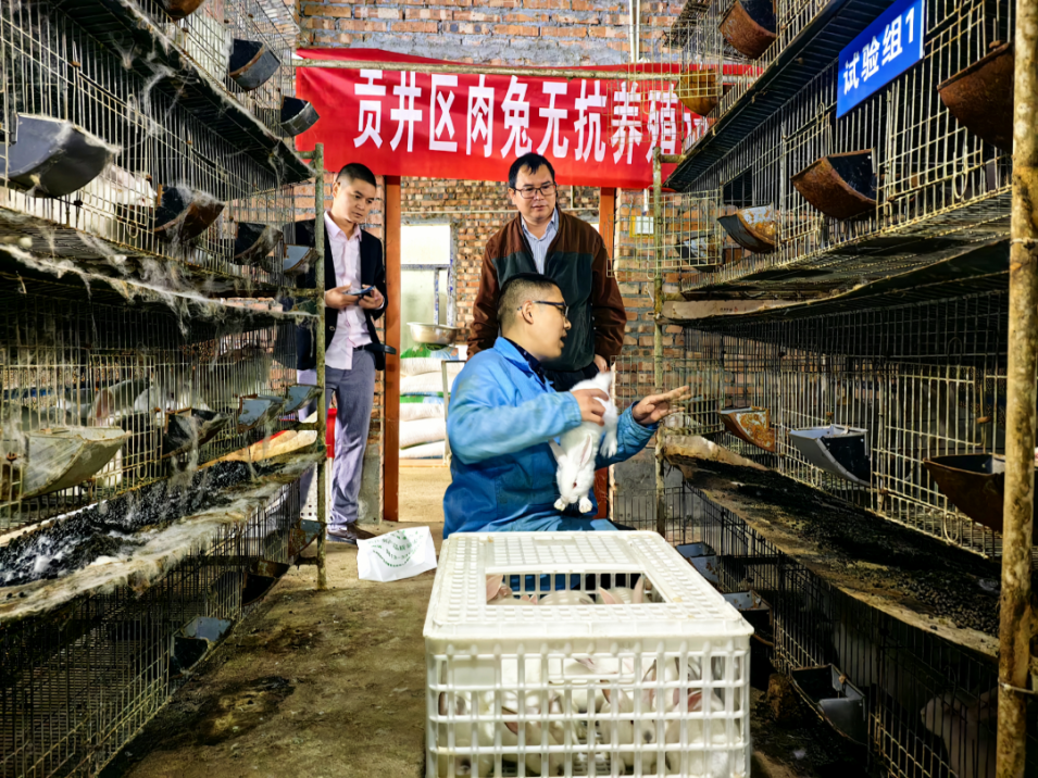 图片3.png