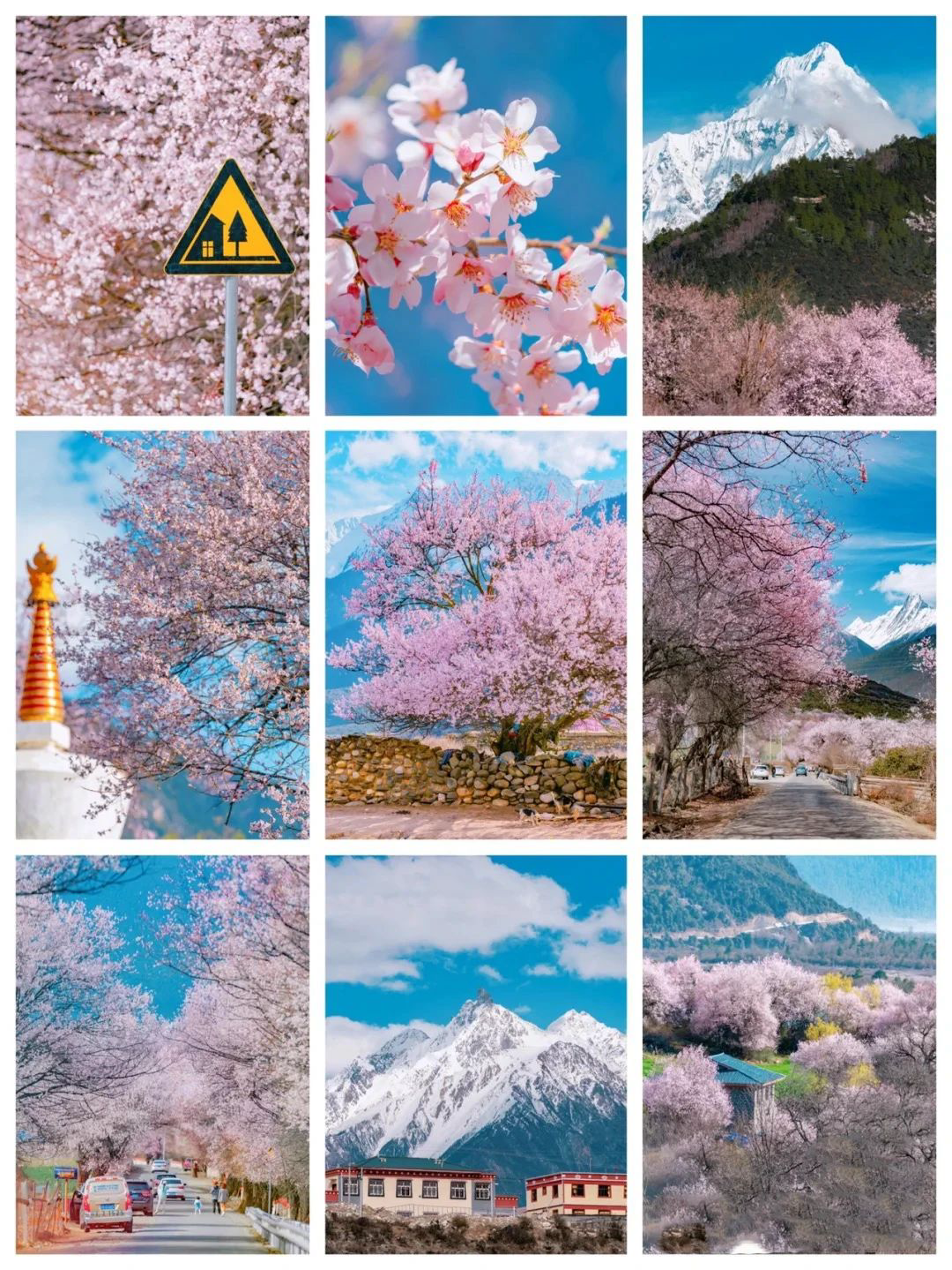 别去三亚挤了！清明拼假6天，我私藏的宝藏小城好吃到飞起，美到失语！