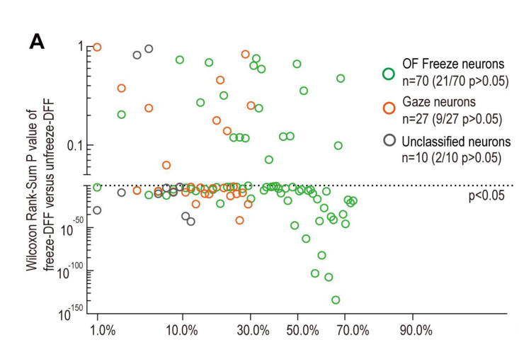 超維景助力東南大學(xué)謝維/李默怡課題組揭示情緒共情的神經(jīng)機制