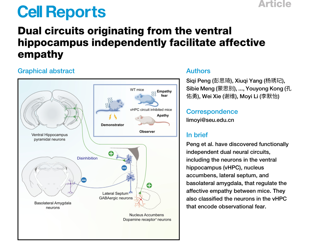 超維景助力東南大學(xué)謝維/李默怡課題組揭示情緒共情的神經(jīng)機制