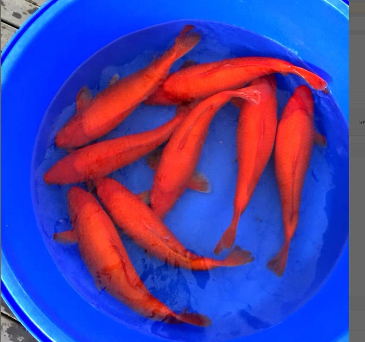一柱擎天