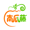 南瓜藤
