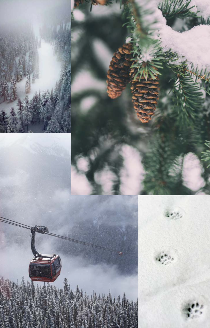 雪疯子一生必去的顶级滑雪胜地