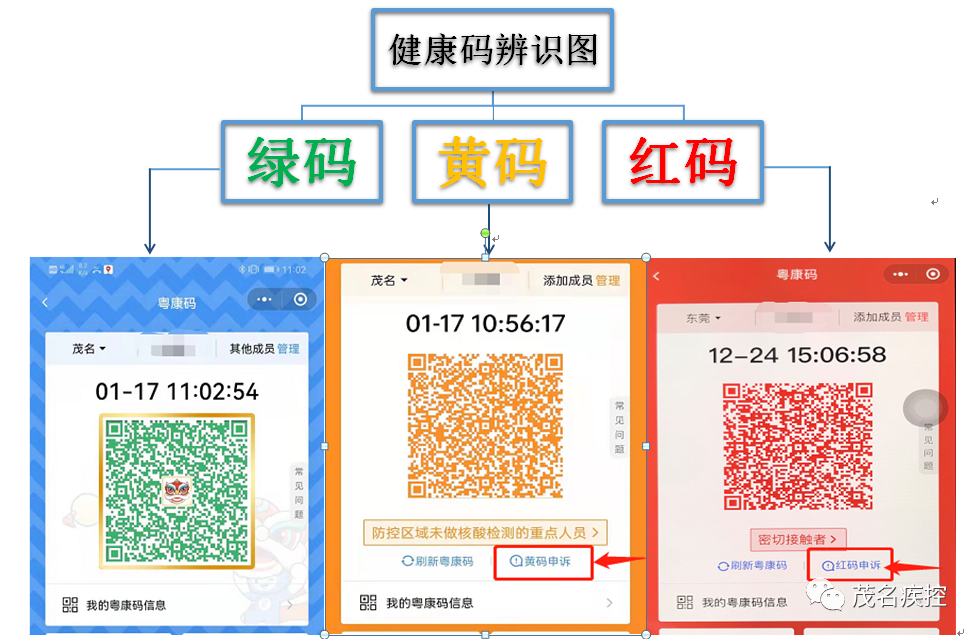 广西健康码高清图片