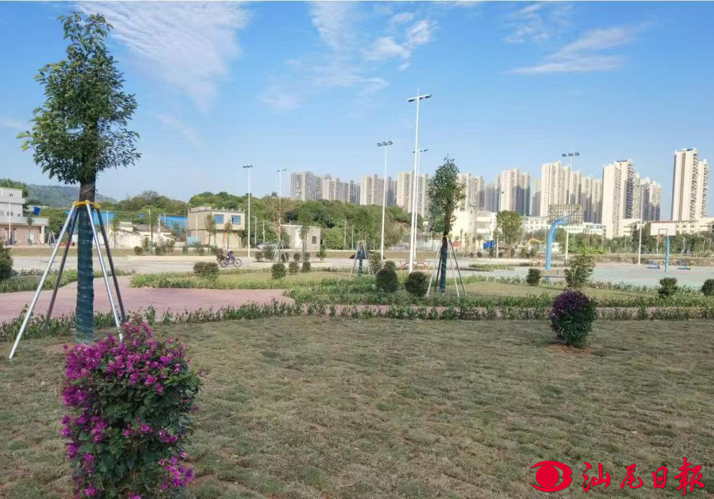 抓好三六九奋进百千万香洲街道打造绿美西洋新名片