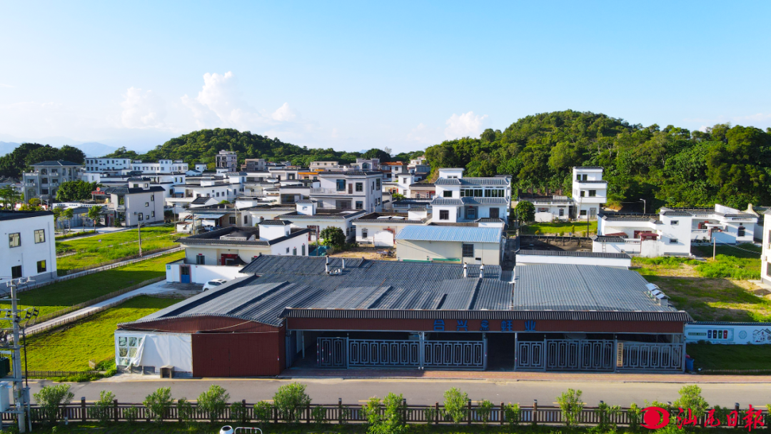 共筑绿美汕尾厚植生态绿底色绘就乡村兴画卷城区红草镇晨洲村走好生态