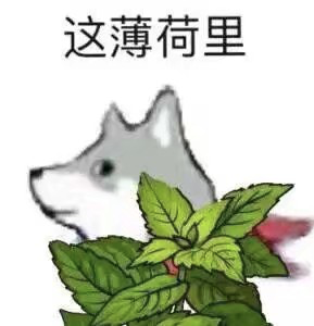 花呗上怎样还