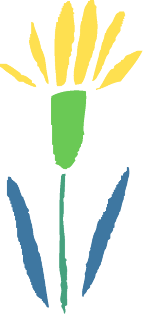 眼底照相有什么用【百闻不如一“健”】全国爱眼日 ｜ 眼底一张照，眼病早知道‍_https://www.jmylbn.com_新闻资讯_第4张