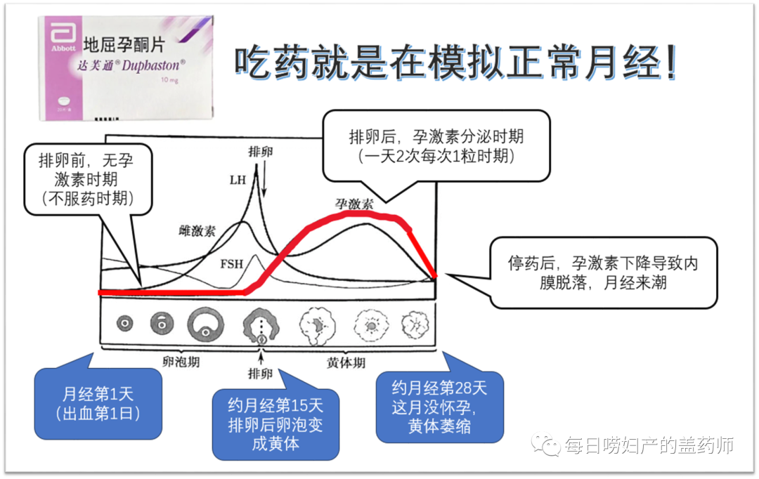 地屈孕酮片吃了多久来月经