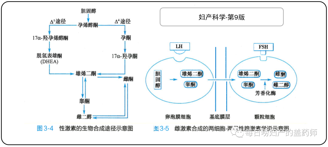 补佳乐多少钱