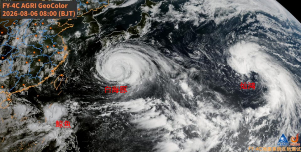 白海豚台风天33分钟生命速递：无人机破壁救援孤岛，科技为生命开路