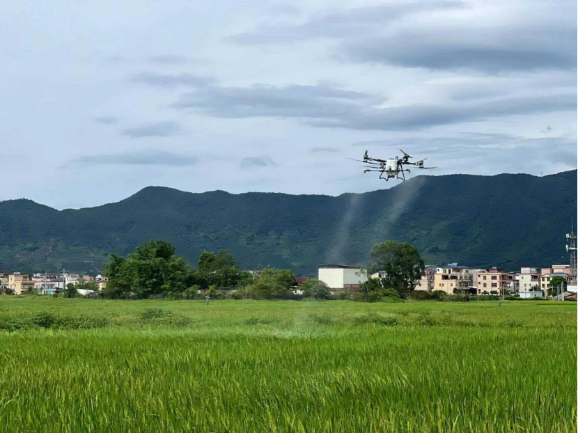 从“面朝黄土”到“云端种田”：中国无人机，正在彻底改写现代农业格局