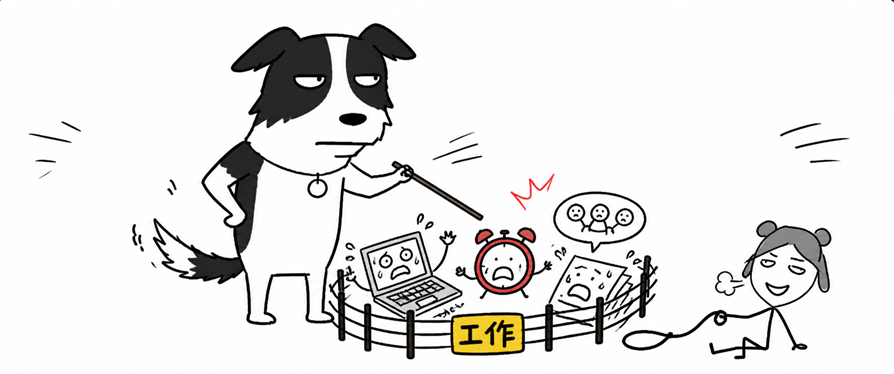 养狗后工作效率提升 边牧饲养心得分享