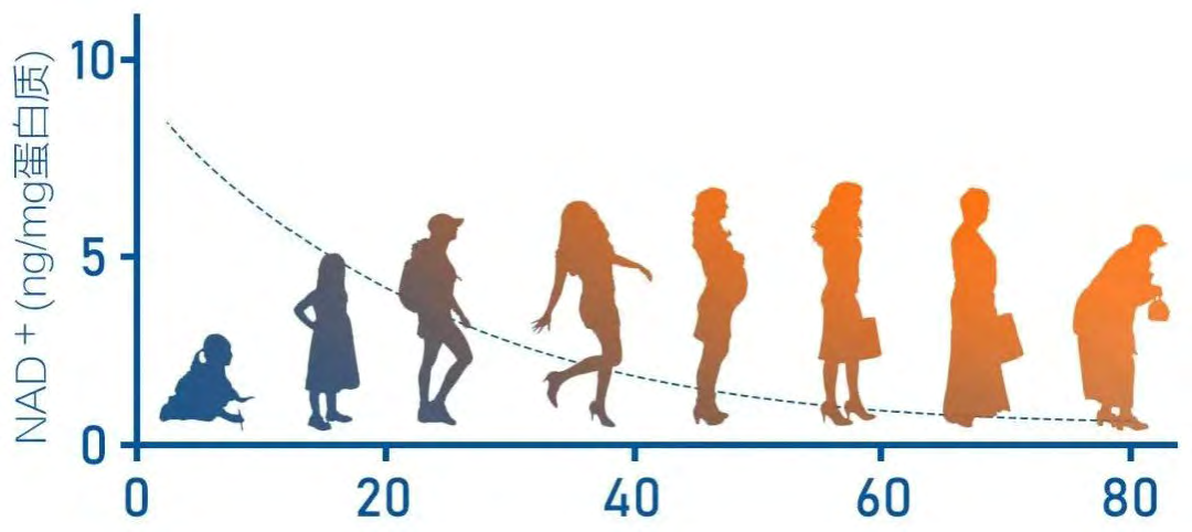 微信图片_20260410144338_96_7.png