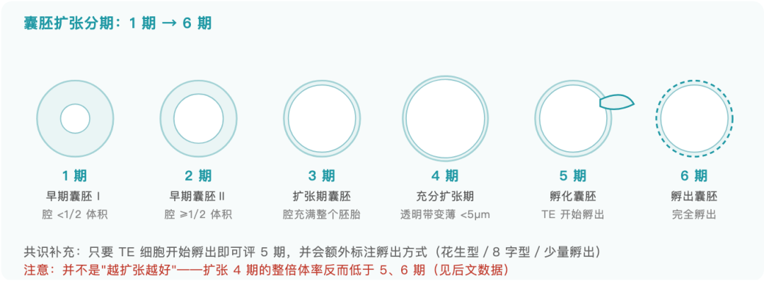 图解 5