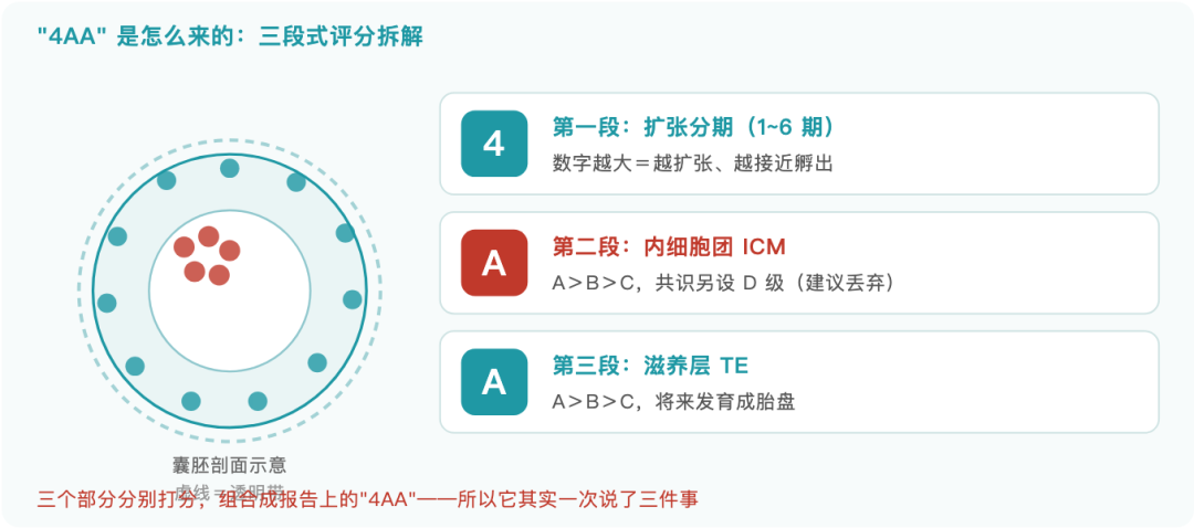图解 4