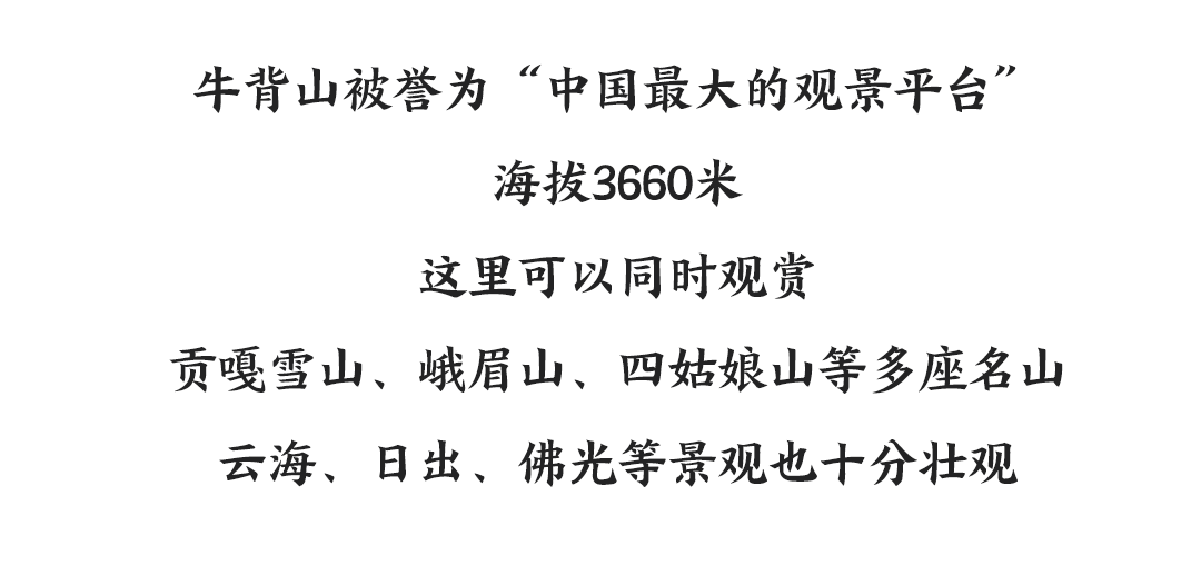 4-文案.png