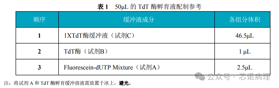 50uL的TdT酶孵育液配制参考
