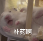 驾照12分扣完了怎么办？