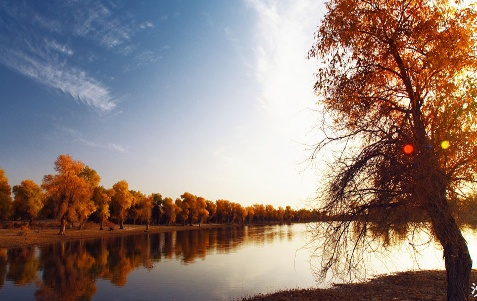 探寻塔里木河流域之魅力沙雅县