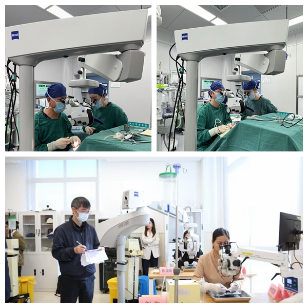 乳化玻怎么制作余杭三院承办白内障超声乳化玻切手术实操培训班_https://www.jmylbn.com_新闻资讯_第4张