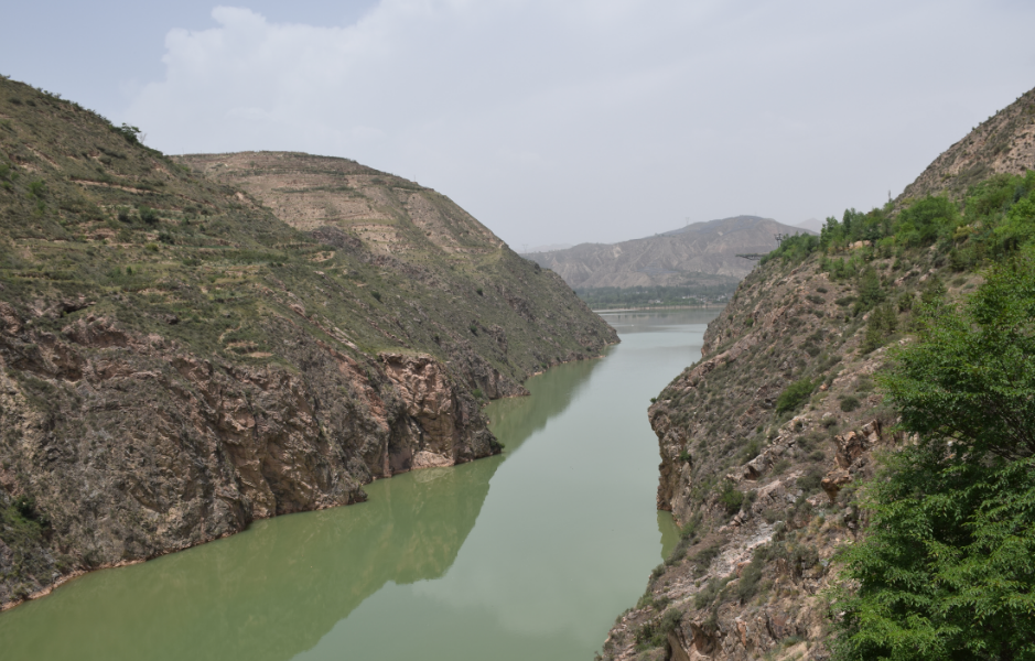 赏花海 品黄河 民和禹王峡等你来打卡