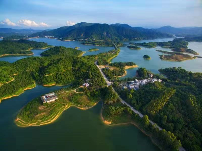 饶平饶平县努力交出林长制高分答卷不断开创森林资源保护工作新局面